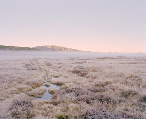 untrustyou:Vasantha Yogananthan