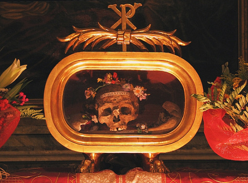 lemaldusiecle:The alleged skull of Saint Valentine, crowned with flowers, in the Basilica di Santa M