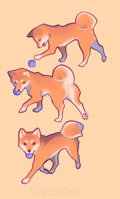 junglekawa: Shiba playtime Yesgood &lt;3