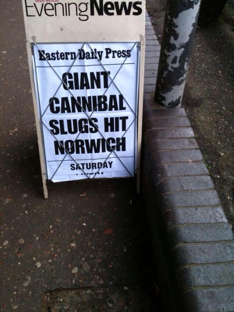 floskii:  Exciting headlines from British local papers  leebroughall