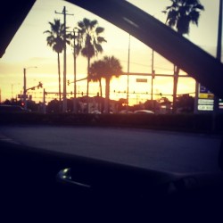 Florida #sofl #sunset