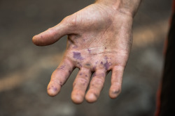 patagonia:  Camp hands….the kind you get from dirt, sweat, berry foraging, and fifty miles on foot across Olympic National Park. Submitted by jesse-vanhoy 