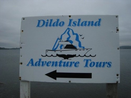 collegehumor:  Who is Ready For an Adventure at Dildo Island?! A beloved hub/dirty secret for your average giant.