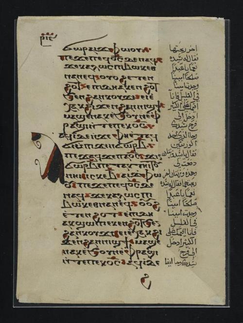 This photograph comes from LJS 185 Psalter leaves and Matthew leaf, in Coptic, with headings and com