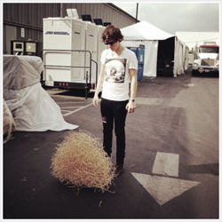 vauxn-blog:        harry styles; instagram       