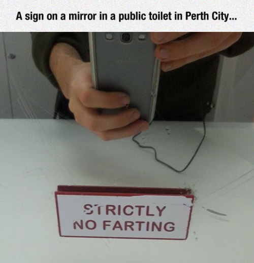 srsfunny:  They Are Very Stricthttp://srsfunny.tumblr.com/ 
