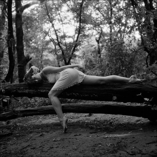 Saut d’obstacle  ?