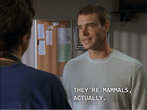 scrubs