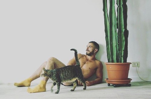 SEXNSOCKS