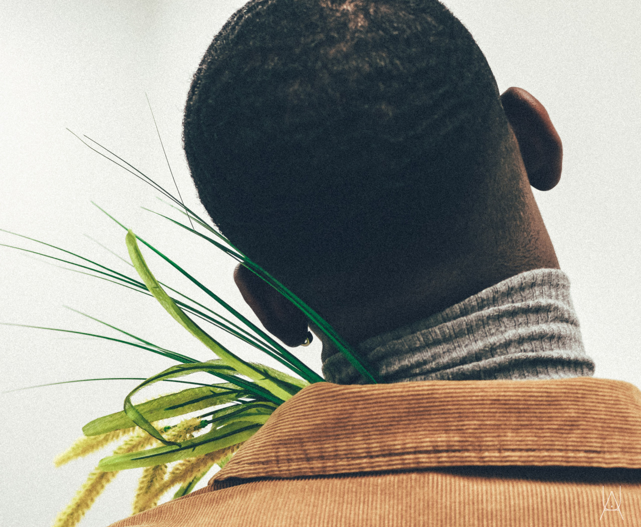 urkeltheandroid:  Pistachio. ijosefadamu - model#uaimages
