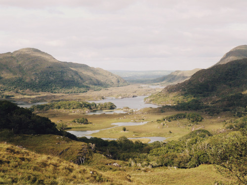 jacindaelena:   Ireland by florescent  