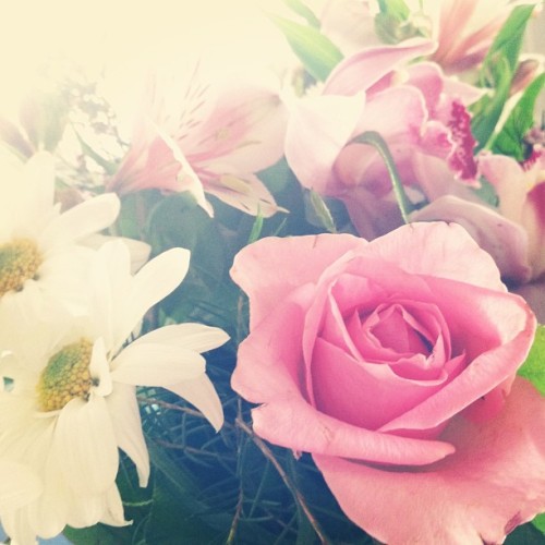 He loves me =) #boyfriend #flowers #bigsweetie #noreason #hedoesthisallthetime