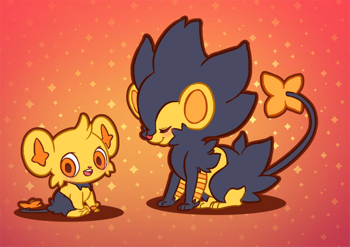 shavostars:  DAY4: Fav Electric Type I love Shiny Luxray and Shinx, so much. I also