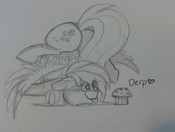 azula-griffon:  Here have a traditional derpy.