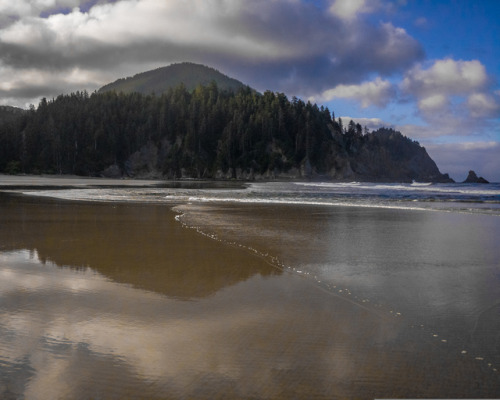 Oregon - ShortsandsJune 2019Shortsands BeachOswald-West State Park