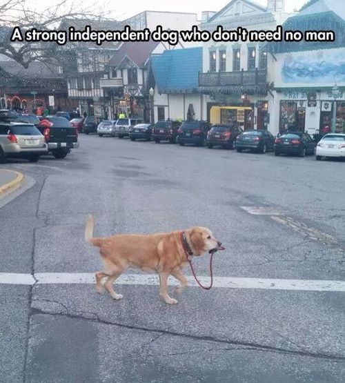 funny-gif-1:  Other Funny Gİfs http://funny-gif-1.tumblr.com/