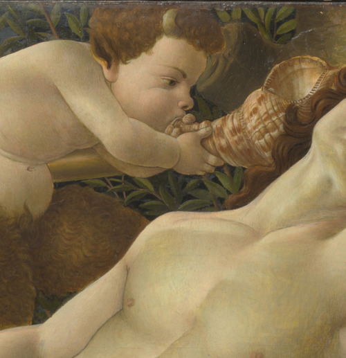 ars-videndi:Sandro Botticelli, Venus and Mars, c.1483, tempera on panel,69 x 173.5 cmNational Galler