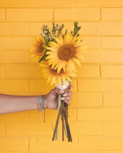 yellow-is-my-aesthetic:Your first love should be yourself 🌻💛
