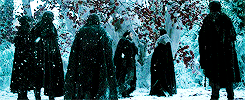 lord-snow-blog:  Game of Thrones Challenge: 1 gifset per episode 1x07 You Win or You Die 