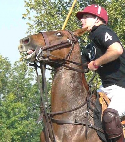 equine-awareness:  The Plea of the Ruined Horse  “There are innumerable factors
