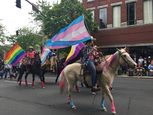 Spokane Pride Has LGBTQ+ Pride Horses