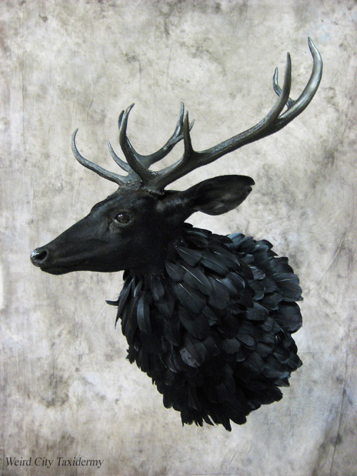 weirdcitytaxidermy:  Swiggity Swag the Nightmare Stag (version 2.0) From NBC’s Hannibal View at Devi