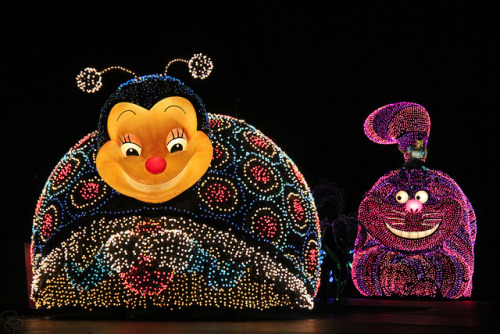 Tokyo Disneyland Electrical Parade Dreamlights on Flickr