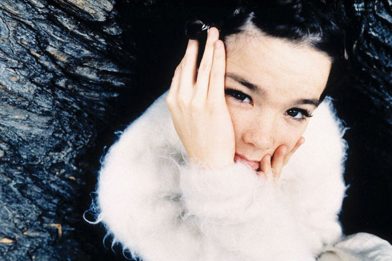 bjork is harsh noise