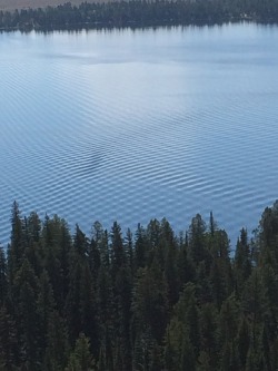 blazepress:  Wave interference.