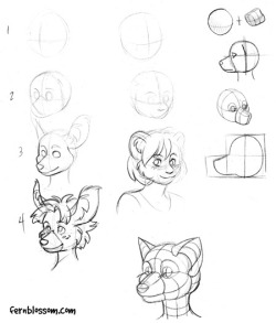 shadow-the-kitsune-coffeeshop:  How to draw anthro heads By Kelly