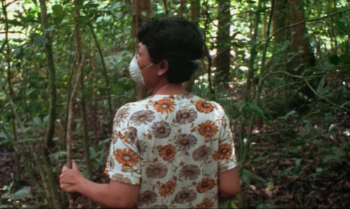 synctest: Blissfully Yours (Apichatpong Weerasethakul, 2002)