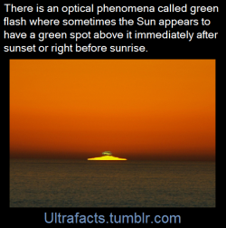 ultrafacts:  A green flash, which occurs more commonly at sunset — but can also occur at sunrise — is a phenomenon in which part of the sun can be observed suddenly and briefly changing color. It usually lasts only a second or two — which is why