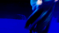 peetakmellark-deactivated201403:  Couldn’t keep it in, Heaven knows I tried. 