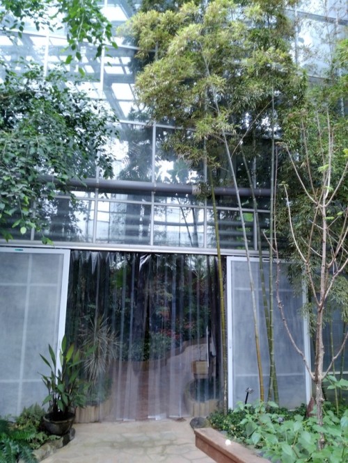 nabi-day: 부천시립식물원 | Bucheon Botanical Gardens 제가 제일 좋아하는 곳은? 당연히 꽃이 많은 곳이죠. 제 친구도 이걸 알고 있어서 제가 방문하러