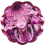 iovorydiary