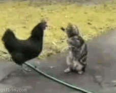 rootfauna: the-real-adam-taurus:  rootfauna:  juxtapoesition:   the-real-adam-taurus: