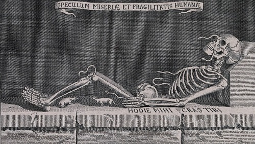 deathandmysticism:C. Grignion, A skeleton with snakes and rats, Wellcome Collection, 1821