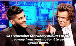 zaynsxo:  &ldquo;Zayn, is it true that before you flew, you thought planes went