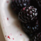      foodxpron: colors - BLACK     