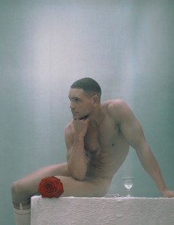 The Brain is a Sex Organ