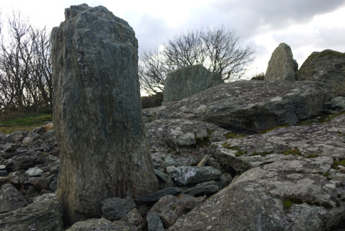 Trefignath Burial Chamber Second Tomb, Anglesey, North Wales, 25.11.17.Little remains of the second 