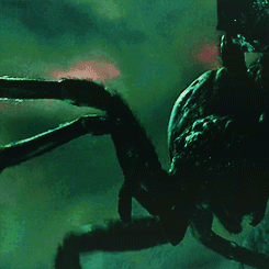  lotr meme: six creatures | Ungoliant [and the giant spiders]  “And still she thirsted, and going to the Wells of Varda she drank them dry; but Ungoliant belched forth black vapours as she drank, and swelled to a shape so vast and hideous that