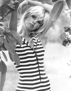 xxhorace:  Britt Ekland 