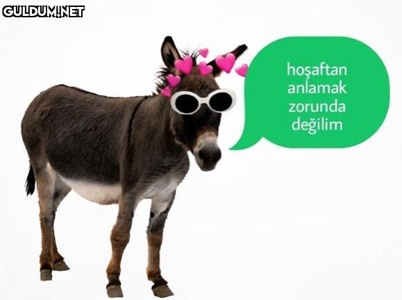 @muzdaripmuz hoşaftan...