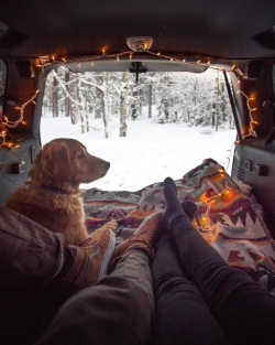 the-cozy-room:  Connor Morris☼ coziest