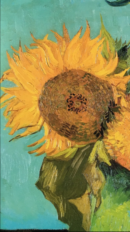 inkstainedleaves:Still Life - Vase with Twelve Sunflowers, details