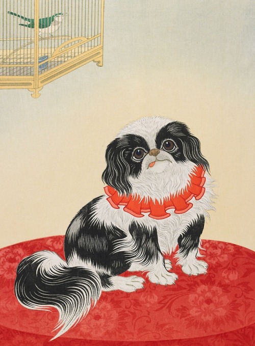 Pug Dog - Ohara Shōson - c.1930 - via Minneapolis Institute of Art