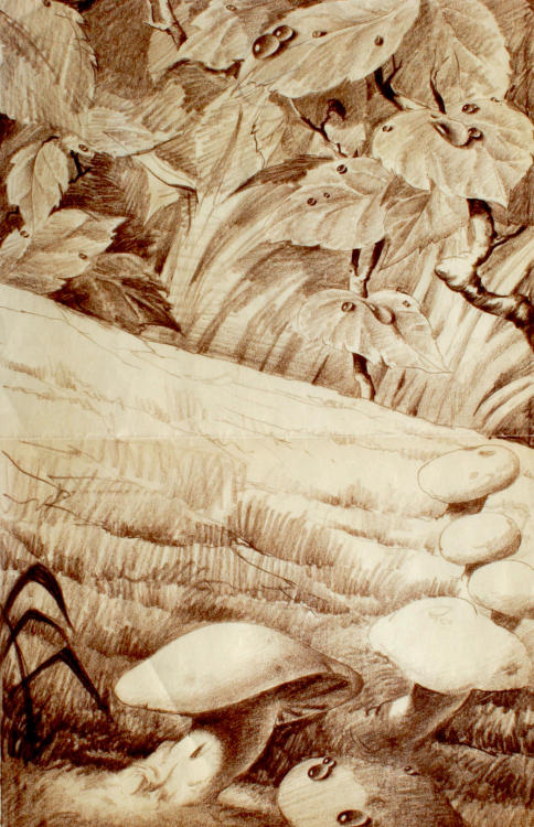UNKNOWNFantasia Background Layout SketchConte on Paper