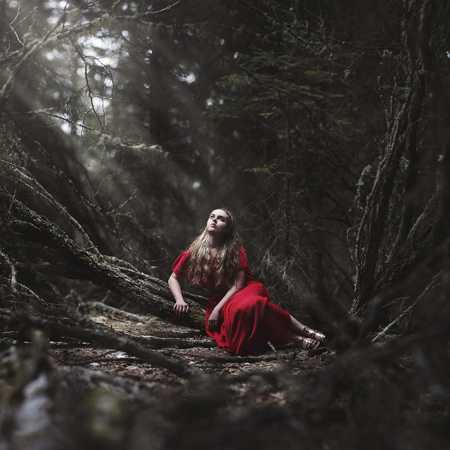 teapalm:  alone on Flickr. I honestly don’t know what to name this. I want it to