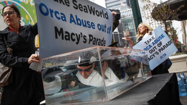 These SeaWorld protesters are planning to strip down at the Macy’s Thanksgiving Day Parade
“ Are you prepared for nudity this Thanksgiving? Because if you watch the Macy’s Thanksgiving Day Parade, you’ll be seeing it.
Animal rights activists...
